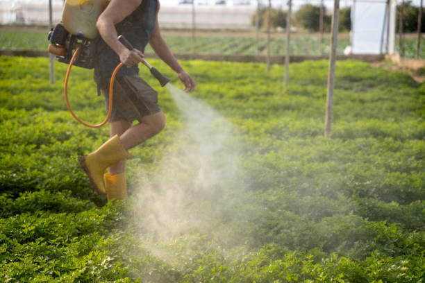 Best Ant Control Services  in Sharon Hill, PA