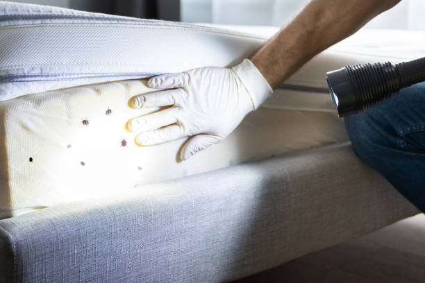 Best Residential Pest Control  in Sharon Hill, PA