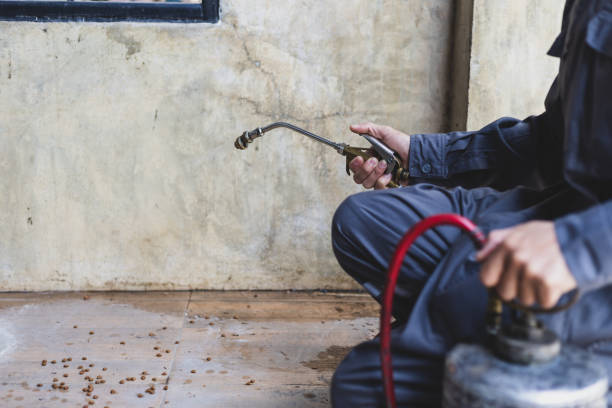 Professional Pest Control in Sharon Hill, PA